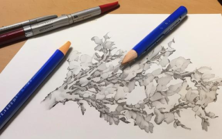 日本美术研究生学制是几年？申请条件有哪些？
