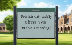 2025年哪些大学支持远程授课？