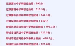 冠县实验高中录取率究竟是多少？
