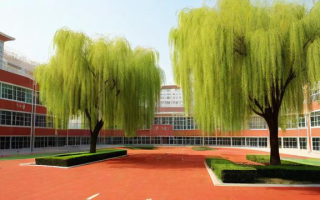 垂杨柳中学初中部教育质量如何？全面解析与评价