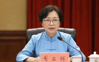 国术国考（国术国考徐帆）