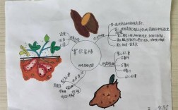 农业嘉年华思维导图如何构建应用价值？