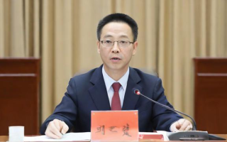 如何查询个人学历信息？