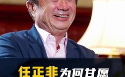 任正非 思维