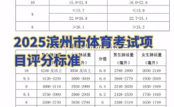 滨城区中考录取分数线是多少？