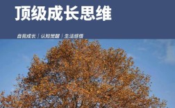 单纯思维，是简单还是力量？