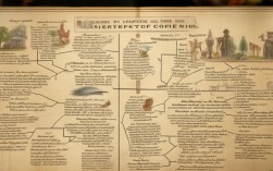 伊索寓言目录思维导图2025最新版在哪找？