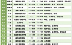 高中本科录取分数线是多少？