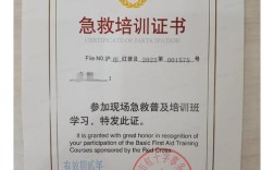 急救证书报名条件有哪些？