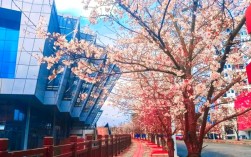 贵大考研考点在哪个校区？