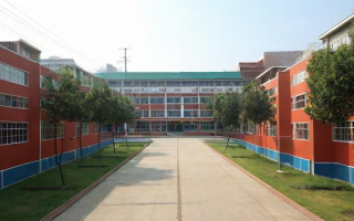 唐镇小学怎么样