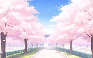 樱花的日语表达是什么？