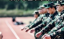 辽宁士官报名人数多少？