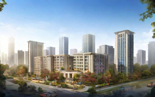 长沙市 麓山国际怎么样