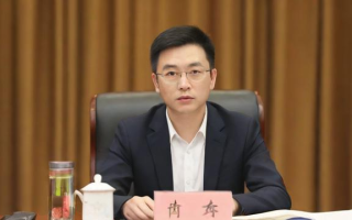 胡文佳是谁？青年研究者的学术成长经历解析