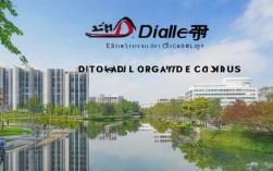 大连理工博士校区2025最新分配是？