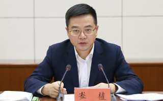 本科会计专业，研究生转法学，这样的跨学科路径如何规划？