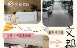 哈尔滨文都和领先哪个更优？