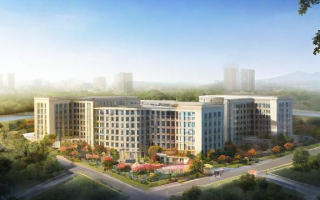 岳阳三中教学质量与校园环境究竟如何？