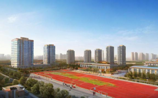 河北单招志愿怎么填，河北单招志愿填报指南，如何正确填写？