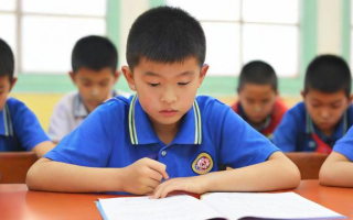 如何查询小学成绩？