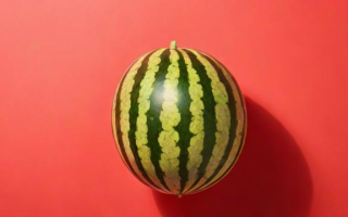 英语西瓜怎么念