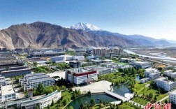 藏大经济专业在哪个校区