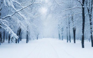 How to Say 下雪 in English?