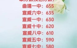 宣威中考最高分多少能被录取？