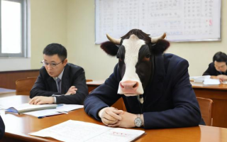 牛学教育怎么样
