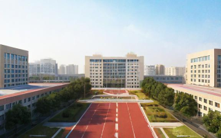 武汉花桥小学怎么样，武汉花桥小学究竟怎么样？
