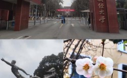 西南财大与吉大，如何选更优？