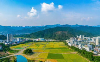 研究生为何选择去特岗？