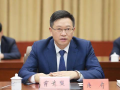 哪些招生专业及报考条件需了解？
