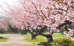 梅思维是什么？它如何提升个人思维力？
