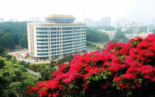 攀枝花新东方怎么样