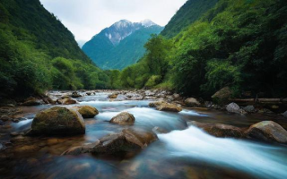 溪水的自白，山野诗人的流动日记蕴含哪些自然哲思？