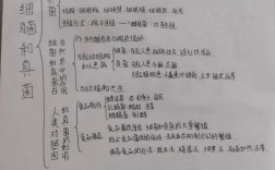 生物思维导图八上，如何构建高效知识体系？关键考点与记忆技巧有哪些？