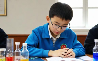 玉石实验校怎么样，玉石实验校的教学质量和校园环境究竟如何？