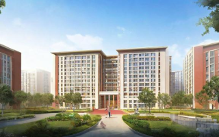 增城中新中学的教学质量和校园环境如何？