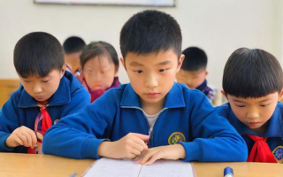 小学九一开学考试表现如何？