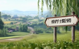 柳职单招录取率多少？2024年大概多少分能上？