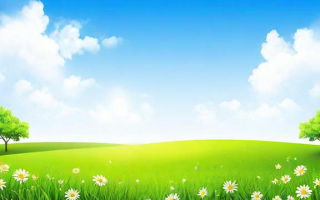 如何生动描绘夏天的景物？