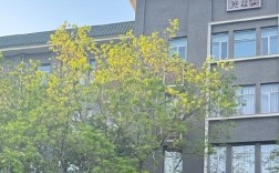 中传媒立德楼哪个门最近？