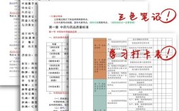 2025年西药报名条件有哪些具体要求？