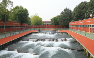 水流小学怎么样（水流中心小学怎么样）