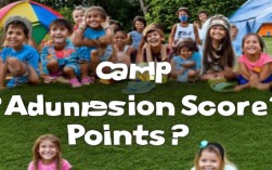 夏令营录取分数线是多少？