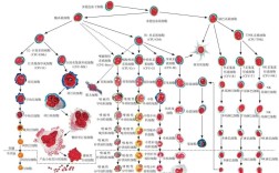 血思维导图如何突破传统导图局限？它在知识整合与创新中扮演什么角色？