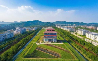 汝阳县研究生如何以乡土深耕展现人才力量与时代担当？