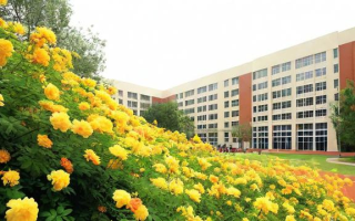 金堂五月花学校评价如何？教学质量与口碑解析